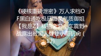 《硬核重磅泄密》万人求档OF黑白通吃极品媚黑气质御姐【我是Z】私拍全套，车震野战露出被黑人健壮小哥玩肏 (12)