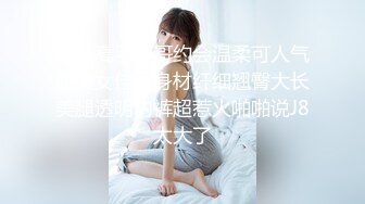 撩妹高手奇哥约会温柔可人气质美女佳丽身材纤细翘臀大长美腿透明内裤超惹火啪啪说J8太大了