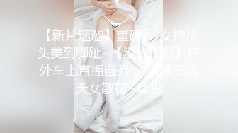 姊姊在这三天是我的专属女仆