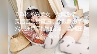 钛合金TiTi NO.054 蓝白女仆