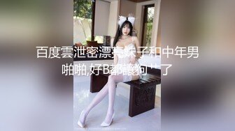 极品少妇 2