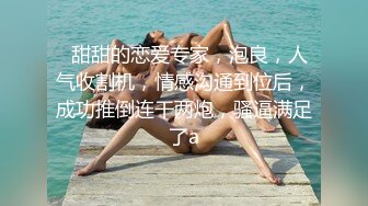 Al&mdash;索菲娅&middot;维加拉 爆乳女仆