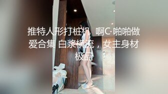 推特人形打桩机  啊C 啪啪做爱合集 白浆横流，女主身材极品