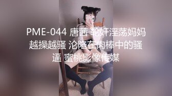 PME-044 唐茜 轮奸淫荡妈妈越操越骚 沦陷在肉棒中的骚逼 蜜桃影像传媒