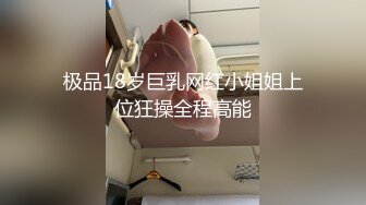 天美传媒TM0163 亲兄弟换妻4P 你操你的弟妹 我就操我的嫂子