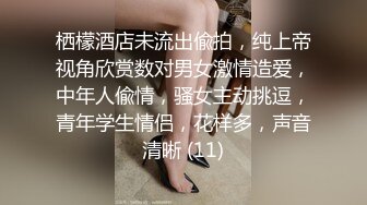 栖檬酒店未流出偸拍，纯上帝视角欣赏数对男女激情造爱，中年人偸情，骚女主动挑逗，青年学生情侣，花样多，声音清晰 (11)