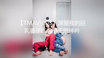 黎菲儿-元宇宙梦幻现实之中的巨乳女仆 挑逗版1V