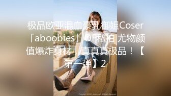 极品欧亚混血豪乳御姐Coser「aboobies」OF私拍 尤物颜值爆炸身材，真真真极品！【第一弹】2