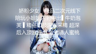 良家偷情大神SR真实偷情良家人妻，少妇系列终极版