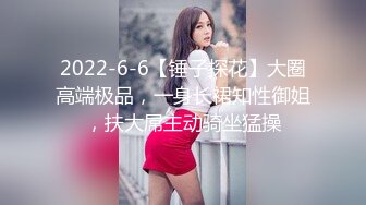 2022-6-6【锤子探花】大圈高端极品，一身长裙知性御姐，扶大屌主动骑坐猛操