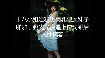 十八小姐姐粉嫩美乳肥逼妹子啪啪，脱光光摸逼上位骑乘后人抽插猛