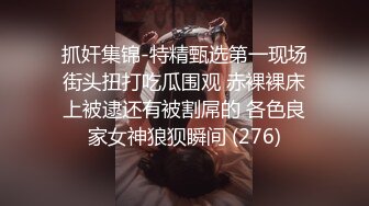 Al&mdash;刘亦菲 与老外激情