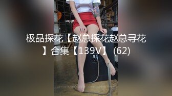 极品探花【赵总探花赵总寻花】合集【139V】 (62)