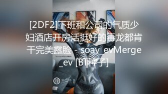 爆乳空姐開房間（腿控必看！）