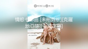 台湾SWAG女模（feifeibebe）自编自演剧情22部合集