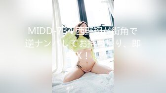 MIDD-734 西野翔が街角で逆ナンパしてお持ち帰り、即SEX！！