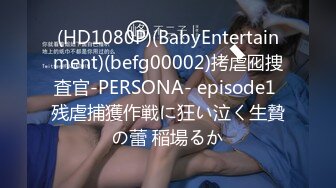 (HD1080P)(BabyEntertainment)(befg00002)拷虐囮捜査官-PERSONA- episode1 残虐捕獲作戦に狂い泣く生贄の蕾 稲場るか