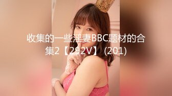 收集的一些淫妻BBC题材的合集2【292V】 (201)