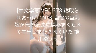 [中文字幕]VEC-378 寢取られおっぱいNTR 自慢の巨乳嫁が俺の友達に揉みまくられて中出しまでされていた 推川ゆうり