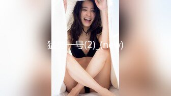 【新片速遞】2023.2.21，【瘦子探花梦幻馆】，真实良家少妇，相谈甚欢互生情愫，推倒暴插小骚穴，对白精彩