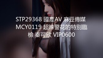 STP29368 國產AV 麻豆傳媒 MCY0119 超辣警花的特別臨檢 秦可欣 VIP0600