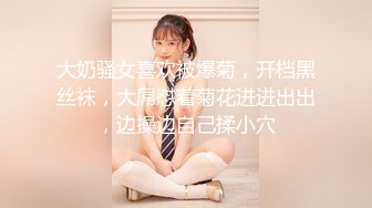 性感 饱满的奶子女友穿着晚礼服被金主爸爸中出 “HouseOfGirl”