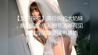 [2DF2] 极品女友『林雅儿』与法国帅哥海边激情啪啪 希望不要被人抓到 超清4k原版收藏[BT种子]