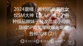 STP23475 颜值冠压全场  外围女神  温婉可人  一对极品大白兔  粉嫩鲍鱼69抽插  精彩