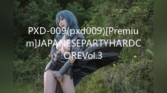 PXD-009(pxd009)[Premium]JAPANESEPARTYHARDCOREVol.3