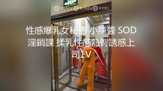 G奶欲姐 欲姐女教师_纯欲女教师 合集【86V】 (29)